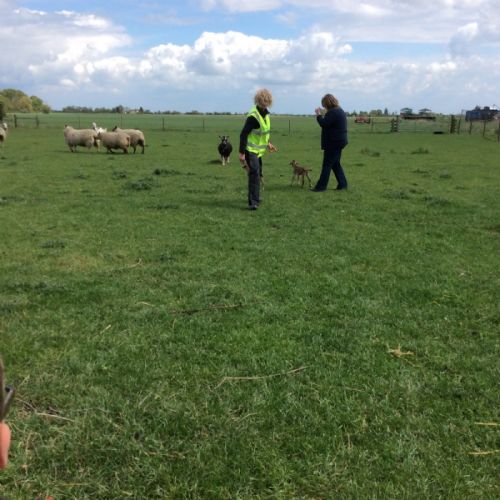 Moor Farm